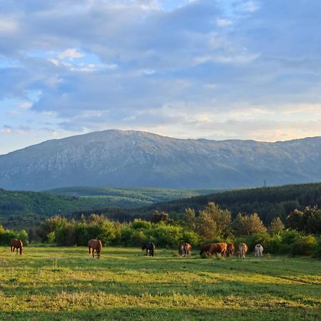 Вилла Ranc Crna Stina Ливно Экстерьер фото