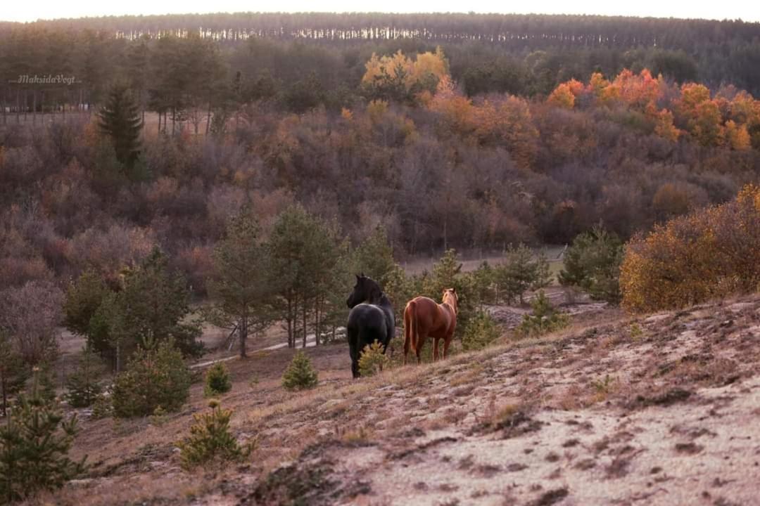 Вилла Ranc Crna Stina Ливно Экстерьер фото