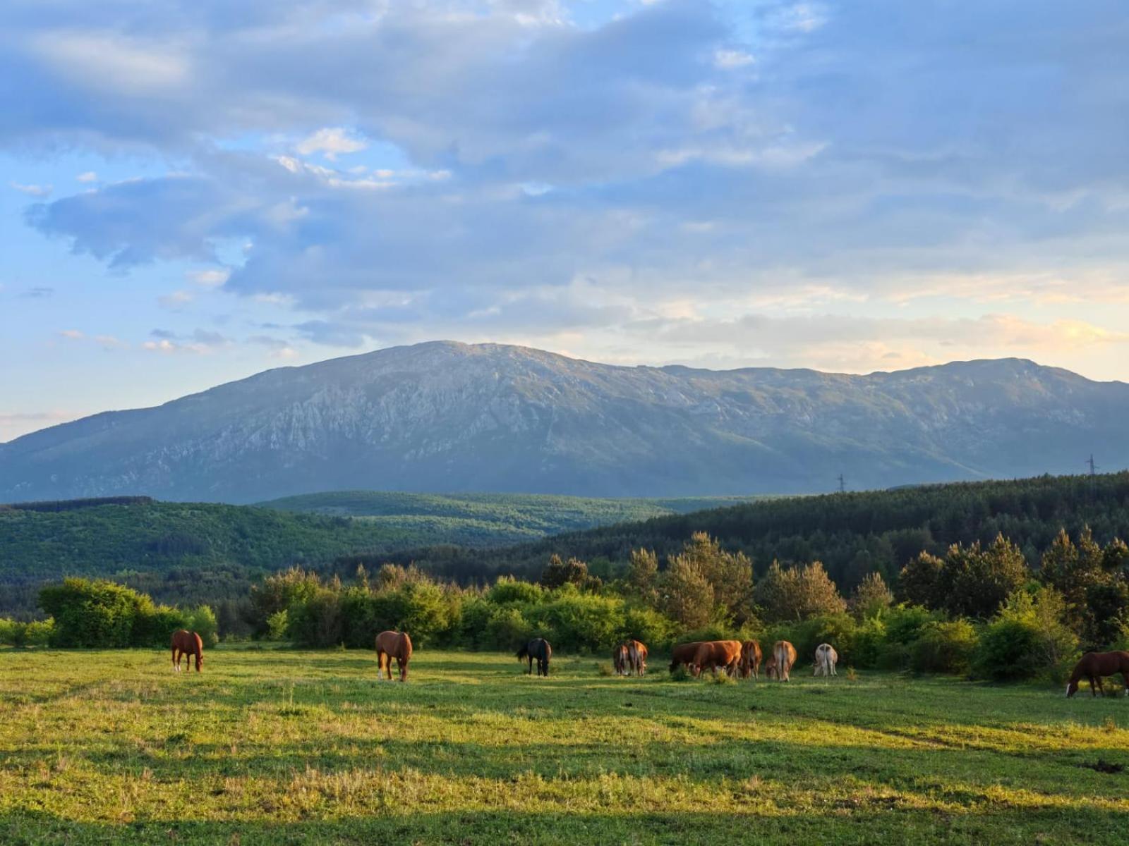 Вилла Ranc Crna Stina Ливно Экстерьер фото